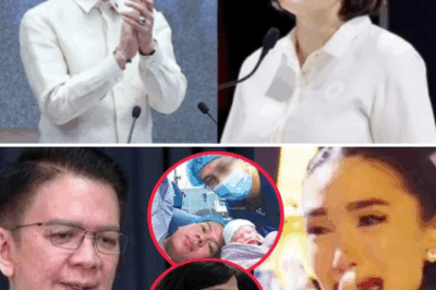 DNA BOMBSHELL EXPLODES? Chiz Escudero’s SHOCKING Revelation About Having a Child with Vice President Sara Duterte Leaves Heart Evangelista IN TEARS – What REALLY Happened?