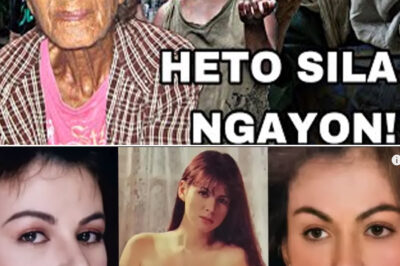 FLASHBACK SHOCKER! Ang pinakasikat na matatapang na bituin sa nakaraan — hindi ka maniniwala kung paano sila nagbago ngayon!/hi