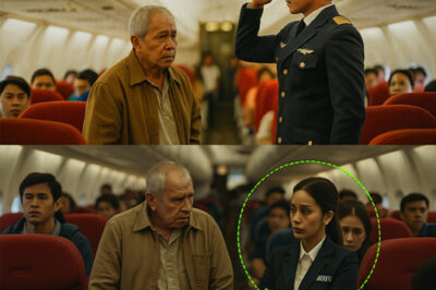 An elderly veteran was quietly asked to give up his seat on a flight — just to make room for a family… He didn’t argue – he just stood up! But 9 minutes after takeoff was delayed, the pilot walked out of the cockpit… and saluted him in front of everyone! /dn