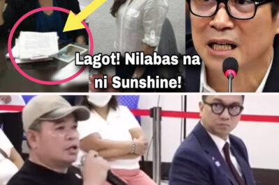 💥EXPLOSIVE TURN: SUNSHINE CRUZ HANDS OVER VIDEO TO NBI—EXPOSING ATONG ANG’S DARK INVOLVEMENT WITH MISSING COCKFIGHTERS! SENATOR BATO ON HIGH ALERT! 😱/hi