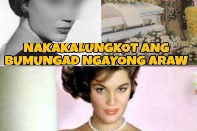 “She D./i./e./d Alone in Silence”: Beloved Singer-Actress Found Lifeless Just Days After Final Performance/hi