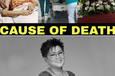 LOLIT SOLIS MGA HULING SANDALI BAGO PUMANAW | LOLIT SOLIS PUMANAW NA | CAUSE OF DEATH RIP/hi