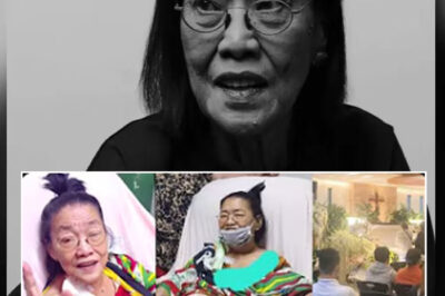💔 “MAY THIS BE MY LAST…” – Lolit Solis’s Last Video Before Passing Away Made The Entire Philippine Showbiz Cry!/hi