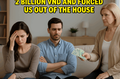 Life Was Peaceful—Until One Day My Mother-in-Law Gave Us 2 Billion VND and Forced Us Out of the House/th