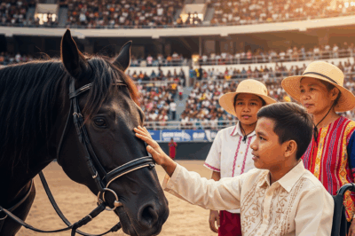 Paralyzed Teen Wheels Into Arena—What the Wild Stallion Did Next Left Everyone in Tears
