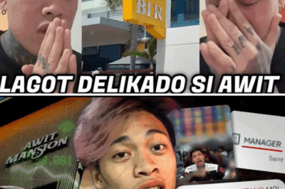 AWIT GAMER FACES TAX EVASION CASE — May LOSE Everything After Alleged Failure to Pay Correct Taxes! “The Fame Is Over,” Netizens Say