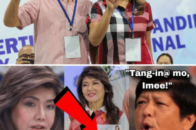 Bongbong Marcos OUTRAGED Over Imee’s Sudden Name Change — FAMILY TENSIONS EXPLODE Behind Palace Walls!