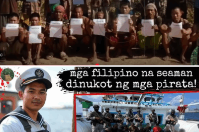 Tied, Beaten, Starved for Days!” Filipino Seafarers Reveal HORRIFIC Ordeal After Being Captured by Pirates — Survivors Say: ‘We Thought We’d Never See Land Again’
