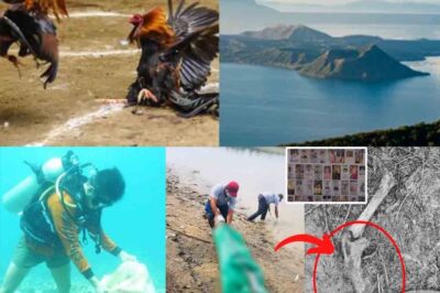 BREAKING: MGA BUTO NG NAWALANG SABUNGEROS Natagpuan sa Taal Lake?! Na-SHOCKED ang Bansa sa Ulat ng mga Divers na Posibleng Nananatiling Tao ang Nauugnay sa Pagkawala! 😱🦴 “Maaaring Ito ang Pagsasara na Kinatatakutan Namin” — Naghahanda ang Mga Pamilya para sa Pinakamasama Habang Natuklasan ng Paghahanap sa Ilalim ng Tubig ang mga Fragment ng Buto at Damit sa Nakakagigil na Pagliko ng mga Pangyayari/TH