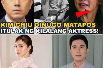 PAULO AVELINO IDINITALYE NA ANG PAGKAKAHULOG NI KIM CHIU, PAGKATAO NG SALARIN IBINULGAR!/th
