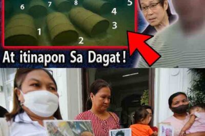 Shock: Barrels Found at the Bottom of Taal Lake, Sealed Shut with Concrete — Inside Them, Cockfighters. The Case Has Been Uncovered — Is It Finally Coming to an End…? Will the Victims’ Families Finally Breathe a Sigh of Relief?/th