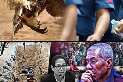 SHOCKING: A massive and explosive revelation has just emerged from General Tor regarding the exact locations—the sites where the missing cockfighters (sabungeros) were allegedly buried or dumped. NO ONE EXPECTED THIS TO BE THE PLACE. EVERYTHING WAS BURIED DEEP BENEATH THE EARTH—NOW THEY’RE BEING UNEARTHED… AND IT’S BEYOND SHOCKING/TH