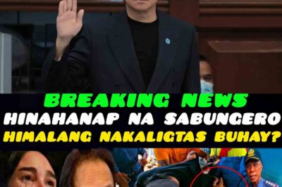 Nakakagulat ho ito. Mayon pala nahang na buhay na sabungero dahil siya ho ay biglang nakatagas sa bingit ng pagpaslang sa kanya. At nasaan naman ang nakatakas na sabungerong Nasaan ang sabungero na himalang na buhay sa bingit ng kamatayan? Oo s itong nakatakas na sabungero na to ay buhay hanggang sa ngayon at ito./th