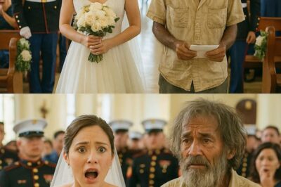 For Six Years, a Young Baker Left Hot Meals for a Quiet Homeless Man—Never Asking His Name. On Her Wedding Day, 12 Uniformed Marines Walked In… And the Whispers Turned into Salutes!