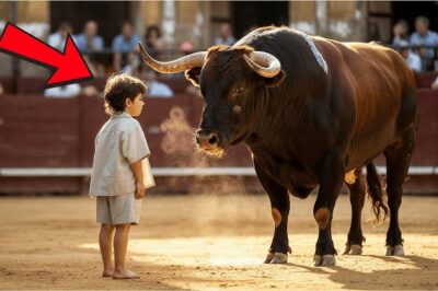 “No One Could Touch That Bull — Until This Boy Arrived… And Everything Changed.”/th