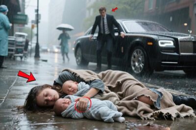 Parts 2: A Young Millionaire Finds an Unconscious Girl with Twins: The Shocking Truth Destroys Him/th