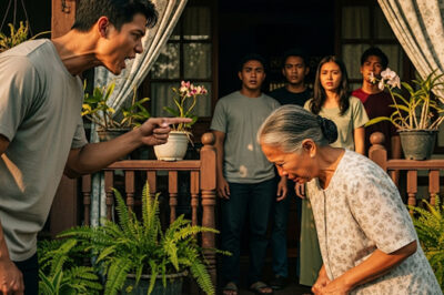 Left Homeless by Her Own Son… But She Held a Secret Fortune of $8.5 Million He’d Never Touch /dn