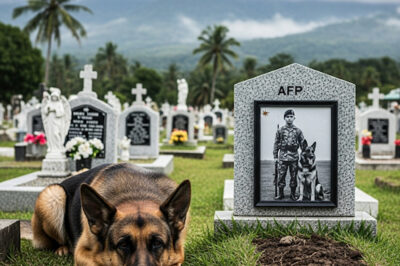 Everyone thought this dog was mourning his lost master… But what the vet discovered chilled the whole village’s bl.0.0d… /dn