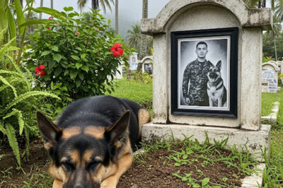 Inakala ng lahat na ang asong ito ay nagdadalamhati sa kanyang nawawalang amo… Ngunit ang natuklasan ng beterinaryo ay nagpalamig sa dugo ng buong nayon… /dn