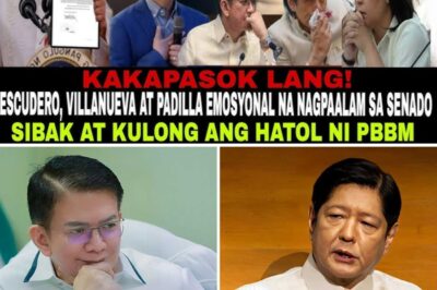 JUST IN! 😱 Chiz Escudero, Padilla, and Villanueva break down in tears as they bid farewell — after President Marcos Jr. delivers the shocking decision to remove them from power! 💔 What really happened behind closed doors? /dn