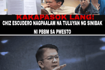 JUST IN: CHIZ ESCUDERO FINALLY BREAKS SILENCE AFTER BEING FIRED BY PBBM — “I ASKED TO STEP DOWN, BUT I WAS ALREADY OUT