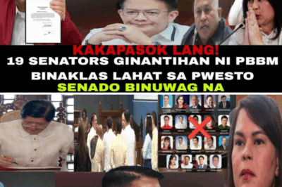 BREAKING: Political EARTHQUAKE in the Philippines! 😱 President Bongbong Marcos Jr. OUSTS 19 Senators One by One—Explosive Purge Promises to Hold Them ACCOUNTABLE in the Biggest Shake-Up in Senate History!
