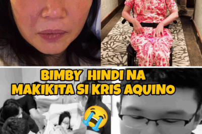Kris Aquino’s family left in total SHOCK after heartbreaking news—Bimby may no longer be able to see his mother! 😱 Netizens can’t believe the painful turn of events…