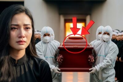 The Sound of Knocking Echoed from the Coffin Just Before Cremation—When Opened, No One Could Believe Their Eyes/th