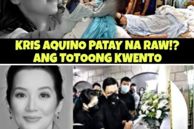 BREAKING: Is Kris Aquino Really GONE Forever!? The untold truth behind the heartbreaking rumors will leave you SPEECHLESS… /dn