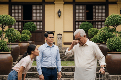Daughter-in-Law Urges Husband to Kick Out His Father to Take the Land, But Just One Week Later, Both Receive a Bitter End…/th