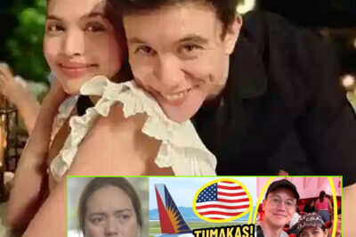 Did Sylvia Sanchez, Arjo Atayde, And Maine Mendoza Flee To The U.S. To Escape A Multi-Million Fund Scandal?