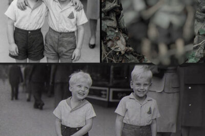 Noong tag-init ng 1947, nawala ang dalawang magkakapatid habang naglalaro sa Stanley Park, ang berdeng puso ng Vancouver.