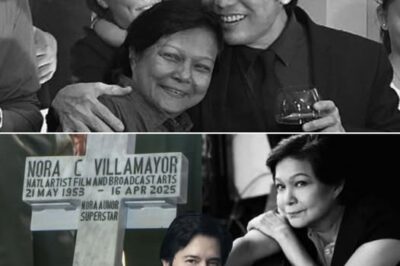 ISANG LIHIM na itinago nang matagal! Sa loob ng maraming taon, may tinatagong KATOTOHANAN si Nora Aunor