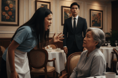 Everyone Feared the Millionaire’s Wife — Until the New Waitress Made Her Look Ridiculous…/th