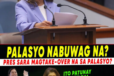 Sen. Imee Marcos, Umamin na Ginagamit Si BBM para Sa Mga Lihim na Plano! Paghahanda na Ba Siya para sa Isang Matinding Paglipat ng Kapangyarihan? Ano Ang Talagang Nasa Likod ng Kanyang mga Pahayag?!