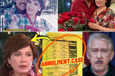 ANG KATAPUSAN NG ISANG ALAMAT: NAGHIWALAY NANG PALIHIM? ANG ‘ANNULMENT’ NI HELEN GAMBOA AT TITO SOTTO, LUBUSANG NABULGAR! ‘PANGANGALIWA’ MULA PA NOON, ANG DEKADA-DEKADANG SEKRETO SA LIKOD NG 50-TAONG PERFECT IMAGE, IHAHAYAG!