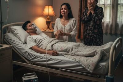 Ang kuya ko ay napaka-matipid, kumikita siya ng 30 milyon bawat buwan ngunit palaging nagpapadala sa aming ina ng hindi bababa sa 25 milyon. Mula noong nakapagtapos siya at nagtrabaho, ganito ang ginawa niya bawat buwan hanggang sa magpakasal siya./th