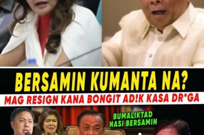 Isang Political Apocalypse: Palasyo sa Kaguluhan nang biglang magbitiw si Bersamin at Budget Secretary, habang ang mga alegasyon ni Senador Imee tungkol sa krisis sa pambansang seguridad at “kriminal na aktibidad” ay hudyat ng huling pagbagsak ng administrasyon
