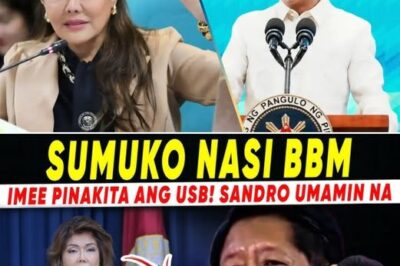 Mainit na Sagupaan: Pamilya Marcos, Binalot ng Intriga, Hamunan, at Mga Akusasyong Yumanig sa Publiko