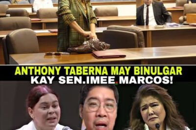 Pagputok ng Isyu: Pahayag ni Anthony Taberna at ang Kontrobersya sa Talumpati ni Sen. Imee Marcos sa INC Peace Rally