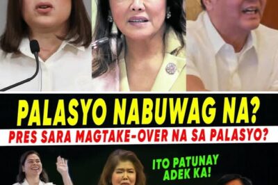 💥 Pakiusap ng Isang Kapatid na Babae at Krisis ng Bansa: Senador Imee Marcos, Inaangkin na ang Kalusugan ng Pangulo ay Nakakompromiso sa Pinakamataas na Katungkulan