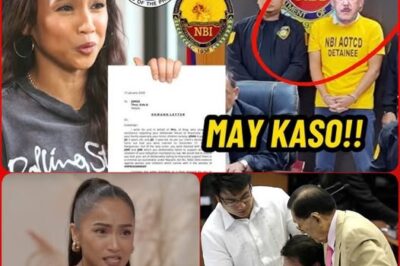 ROCHELLE PANGILINAN NAGKASO SA COMELEC AT NBI! IPATANGGAL SI TITO SEN SA SENADO?