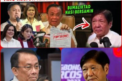 LARO 0VER NGAYON! SA WAKAS MATATAPOS NA BA ITO? SEN IMEE SALDY CO PALASY0 TALSEK nasi BONGIT?!!