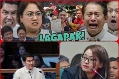 “ERWIN NAPAMURA SA SENADO! ISANG HINDI INAASAHANG MAINIT NA PAGHAHARAP ANG NAGSISIMULA SA PAGDINIG – MIC FALLS, SENATOR OUT!”