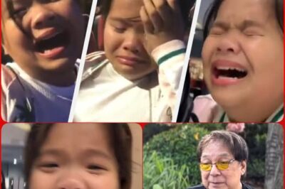 Biglang binasag ng child star na si Ryzza Mae Dizon ang kanyang katahimikan matapos ang maraming taon, na ibinunyag ang sahod nina Joey de Leon at TVJ, na ikinagulat ng publiko.