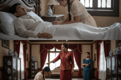 Isang 20-taong-gulang na babae ang pumayag na magpakasal sa isang lalaking nakahiga sa kama para makakuha ng pera para maipagamot ang sakit ng kanyang ama. Sa loob ng 5 taon, minamaliit siya ng kanyang biyenan at bayaw at tinatrato siyang parang isang katulong… Pagkatapos nang…