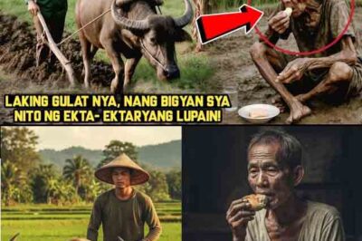 BINATANG MAGSASAKA, TINULUNGAN ANG MATANDANG HUMIHINGI NG PAGKAINLAKING GULAT NYA, NANG BIGYAN SYA../th