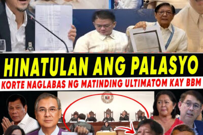 HINDI PA NAMARAANG LEGAL NA LINDOL: Naglabas ang Korte Suprema ng Nakagugulat na Direktiba na Nauurong ang Palasyo at Nagpapasiklab ng Matinding Ispekulasyon Tungkol sa Agarang Kinabukasan ng Kasalukuyang Administrasyon!