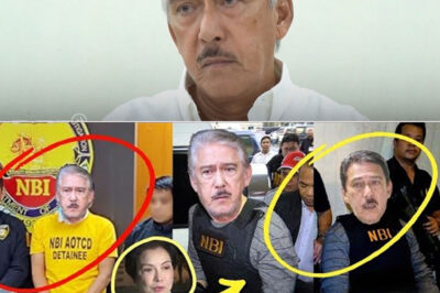 JUST IN! ‘DINAMPOT’ NG NBI ANG ISANG TITO SEN — ANG REBELASYONG NAHULI SIYA SA AKTO NI HELEN GAMBOA AY NAGPAIYAK, NAGPAALAB, AT NAGPAHINTO NG BUONG BANSA
