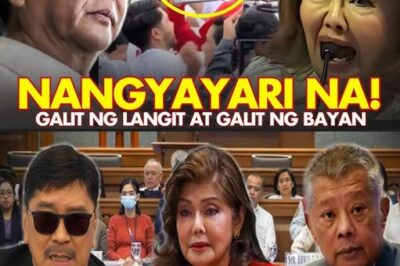 TOTOO ANG SINASABI NG BIBLIA, Judgment Kay Sen. Imee DAHIL NILABAG ANG UTOS NG DIYOS NA ITO!